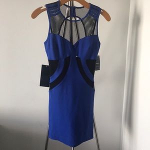 Bebe Black & Blue Fishnet XS Dress.